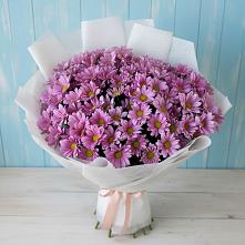 Букет цветов из:  Хризантемы в Гришенки
