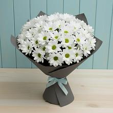 Букет цветов из:  Хризантемы #REPLACE_PRED# Гришенки