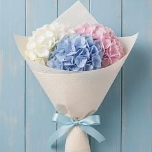 Букет цветов из:  Гортензия #REPLACE_PRED# Гришенки