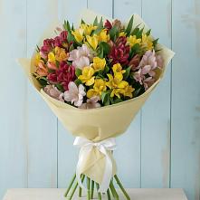 Букет цветов из:  Альстромерии #REPLACE_PRED# Гришенки
