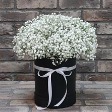 Цветочная композиция из Гипсофила в шляпной коробке в Гришенки