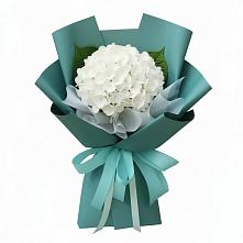 Букет цветов из:  Гортензия в Гришенки